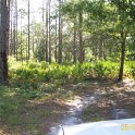 2012-May-05_HGR4X4_Richloam 178